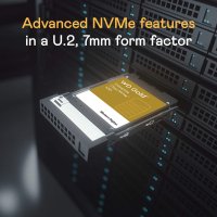 Western Digital Gold Enterprise Class NVMe SSD - 0.8DWPD 3.84TB, SE, U.2 (WDS384T1D0D)